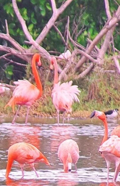 Parque Natural El Bagá